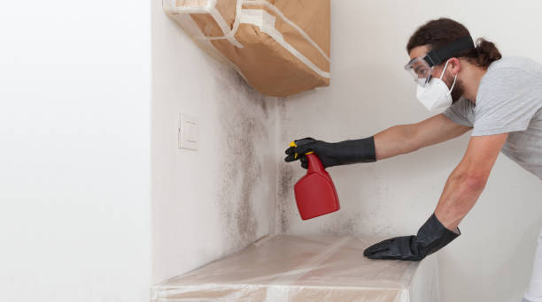 Professional Mold Removal technician working in Smithtown, NY